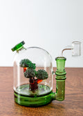 bonsai tree dab rig