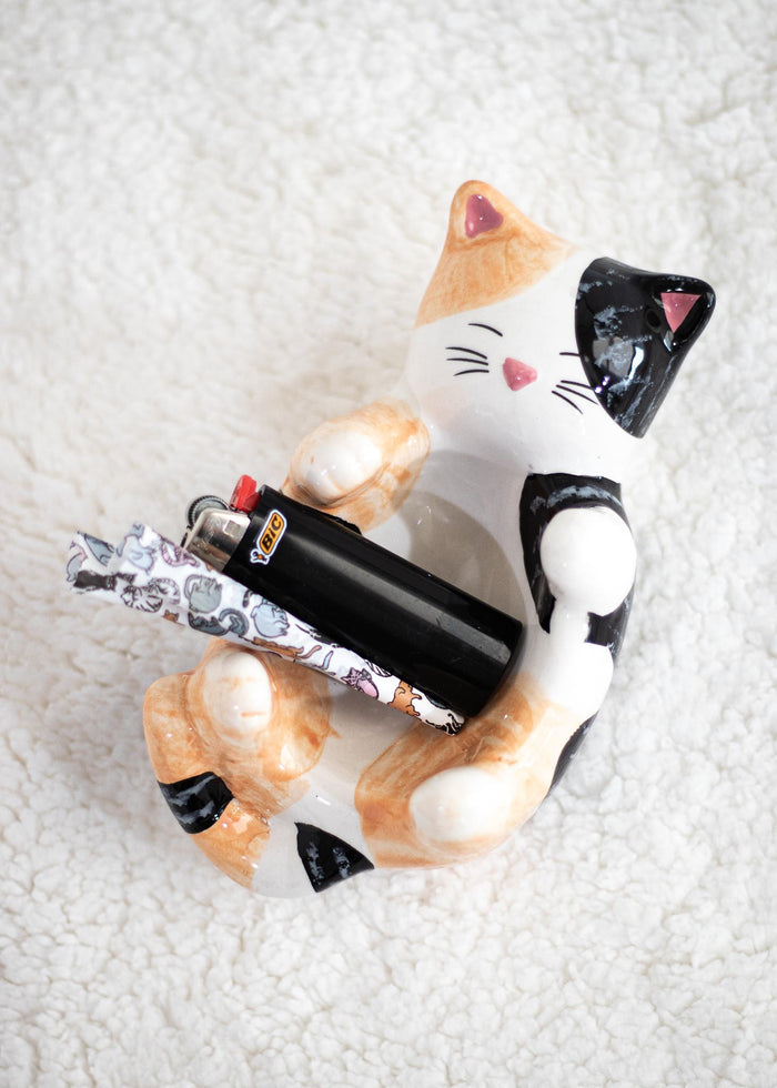 cat ashtray