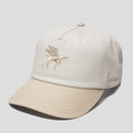 Cream & Gold GriffinDog Hat