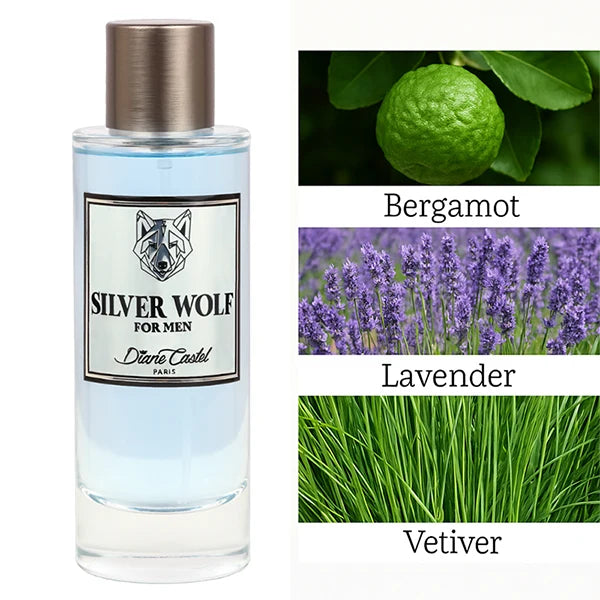 Diane Castel Silver Wolf Eau De Parfum 100ml