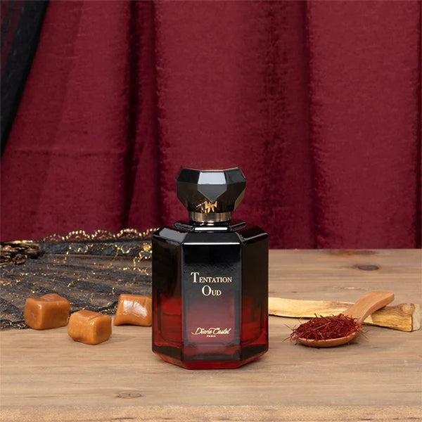 Diane Castel Tentation Oud Eau De Parfum 100ml