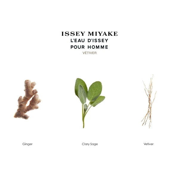 Issey Miyake L'Eau d'Issey pour Homme Vetiver Eau De Toilette Intense 100ml#Size_100 ml