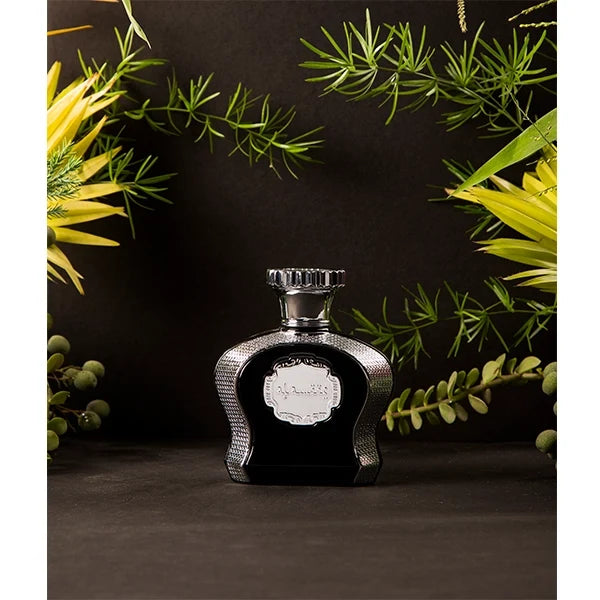Mocemsa Al Ameer Pour Homme Eau De Parfum 100ml