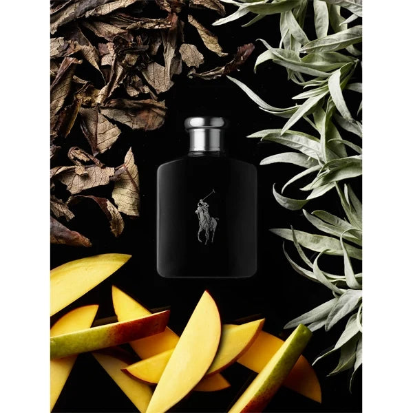 Ralph Lauren Polo Black Eau De Toilette 75ml#Size_75 ml
