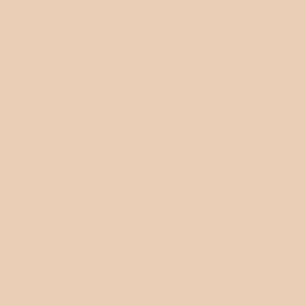 Serge Lutens Mine de Rien Compact Cream 11 Gm#Shade_1 Light : 1
