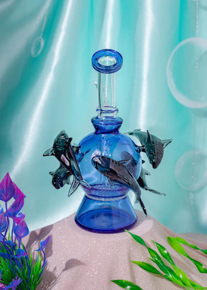 SHARK RIG