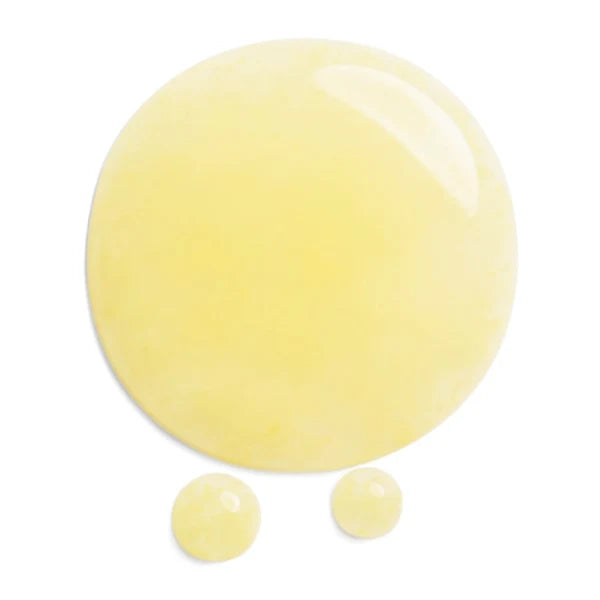 Shiseido Benefiance Wrinkle Smoothing Contour Serum