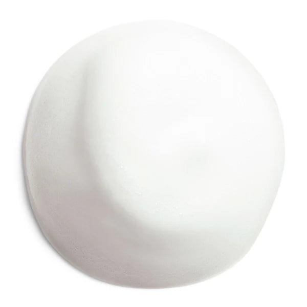 Shiseido Complete Cleansing Microfoam