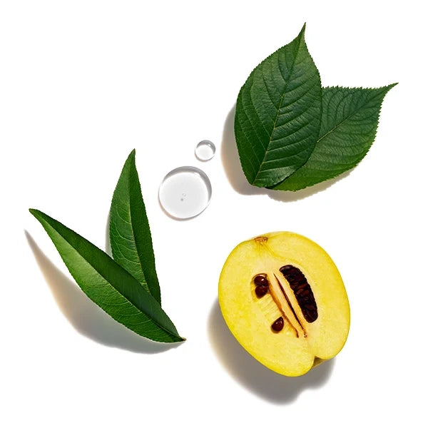 Shiseido Future Solution LX Total Regenerating cream