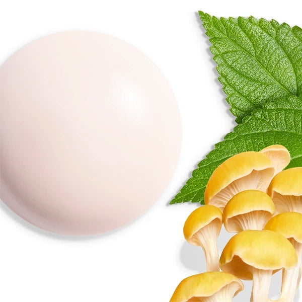 Shiseido Future Solution Lx Universal Defence E Broad Spectrum Spf 50+