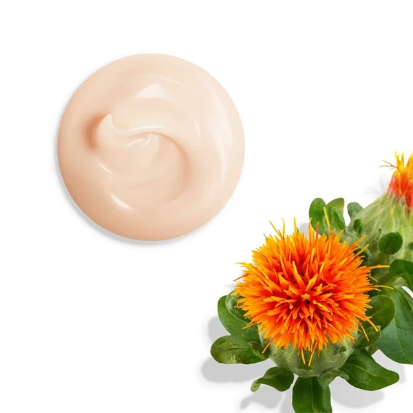 Shiseido Vital Perfection Uplifting And Firming Cream Enriched