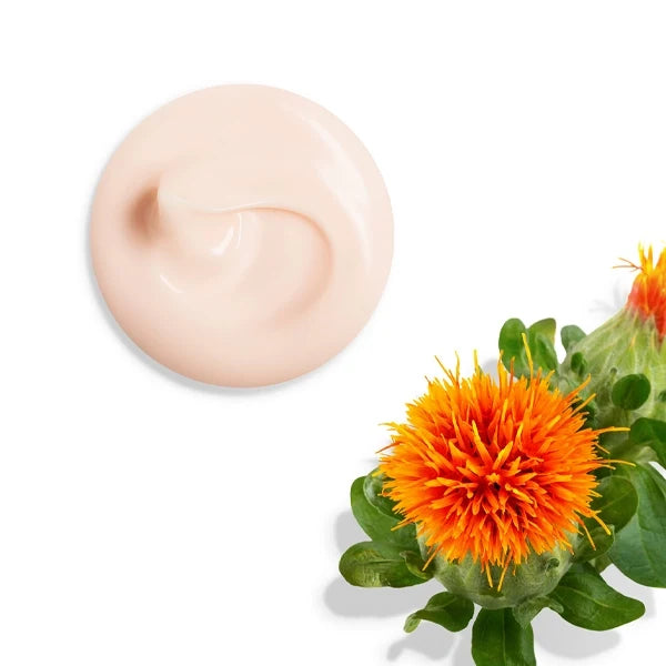Shiseido Vital Perfection Uplifting And Firming Cream