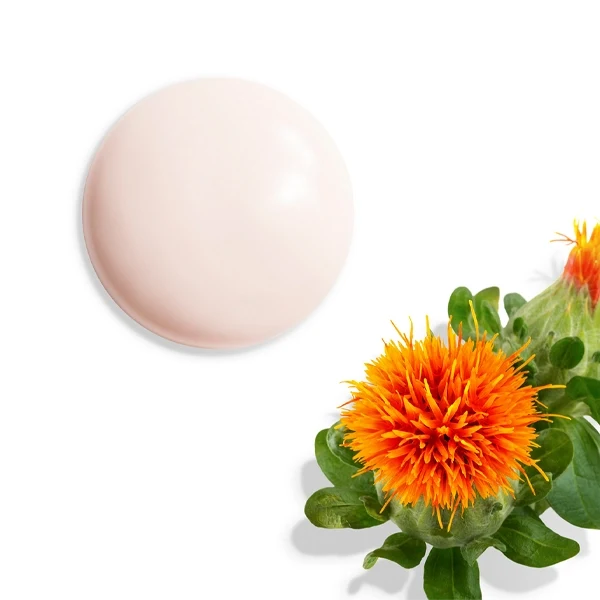 Shiseido Vital Perfection Uplifting And Firming Day Emulsion