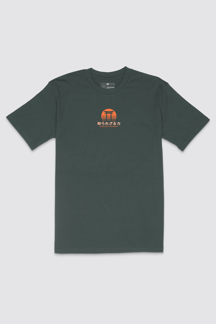 Strength Unknown Stone Lifting Tee