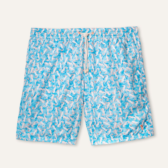 Swim Shorts Long Seahorse Turquoise - Swimshorts_Man - K A M P O S
