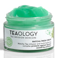 Teaology Matcha Fresh Cream