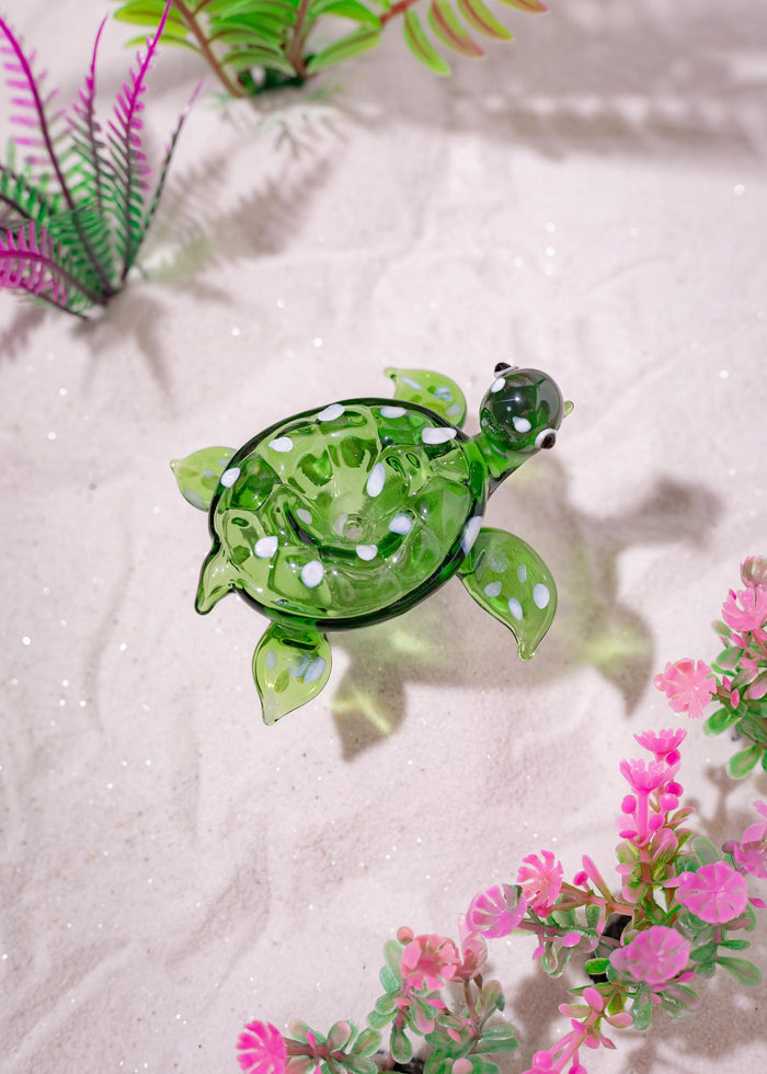 TURTLE BOWL