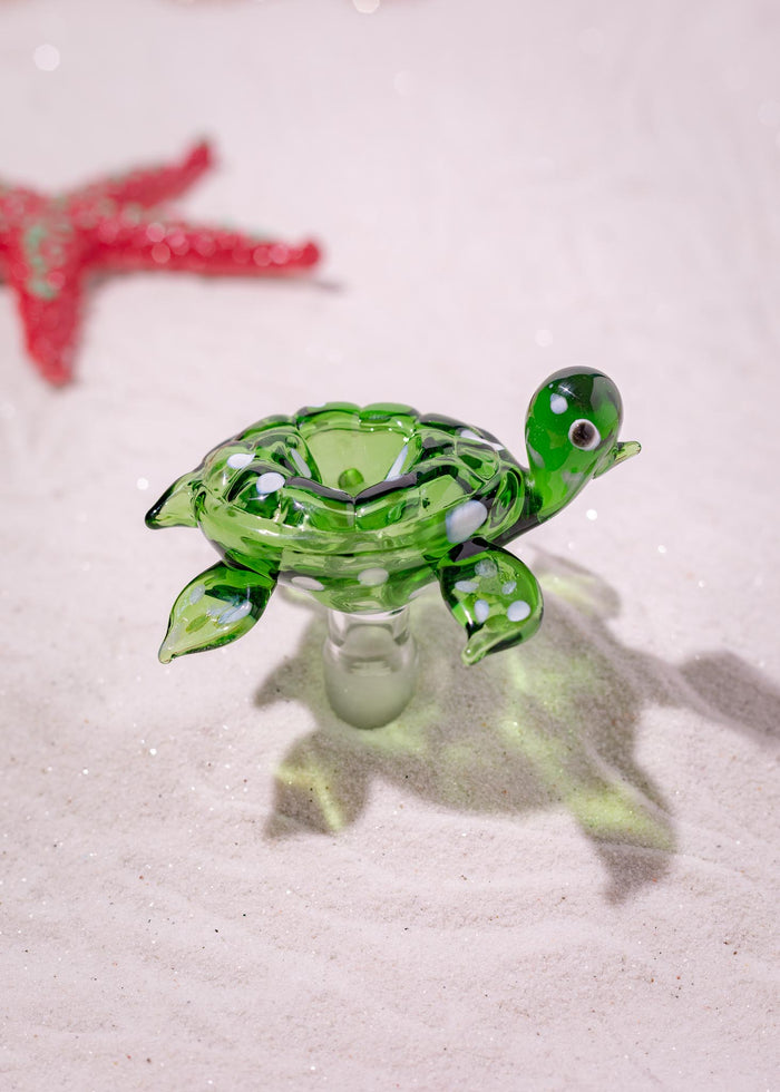 TURTLE BOWL