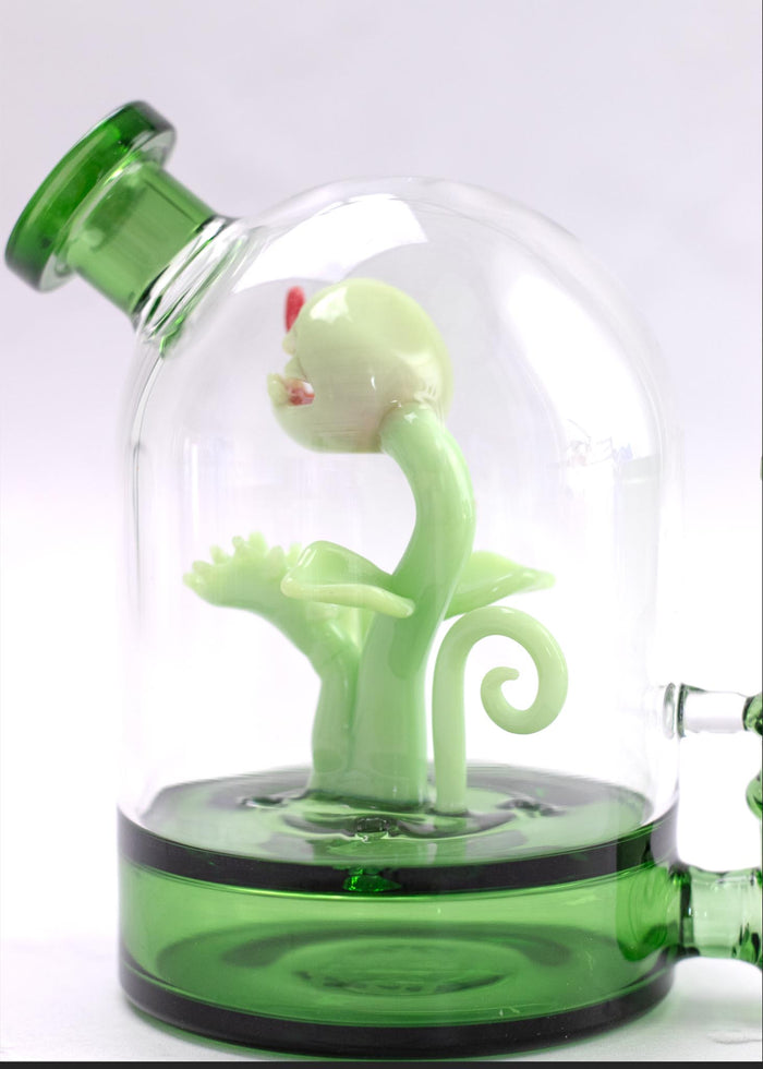 VENUS FLY TRAP CLOCHE RIG